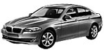BMW F10 P0C11 Fault Code